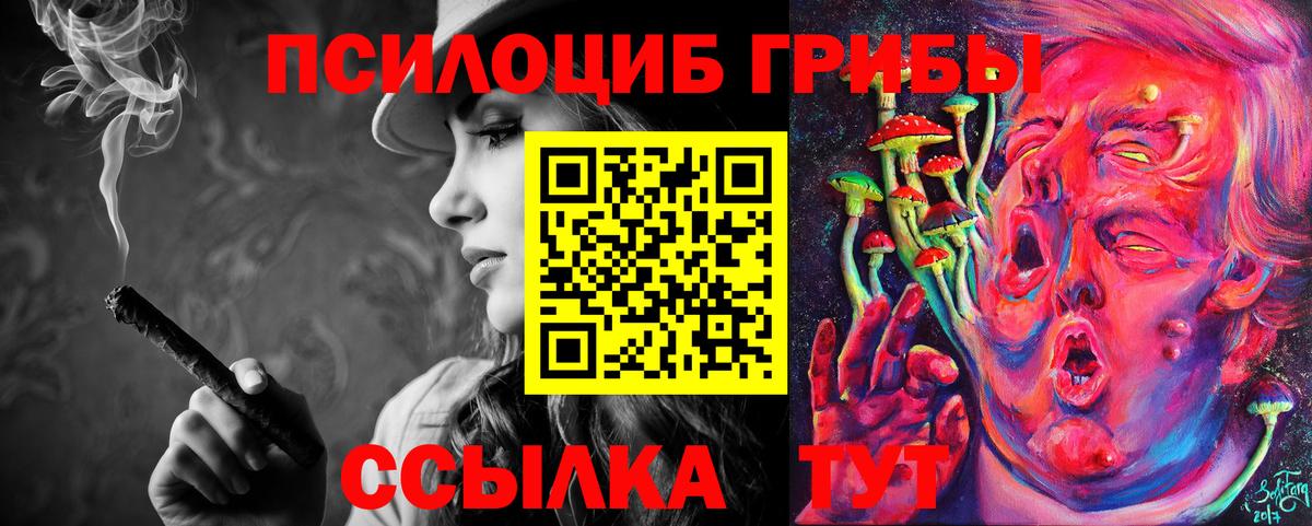 Галлюциногенные грибы Psilocybine cubensis  Вход с VPN  Родники 