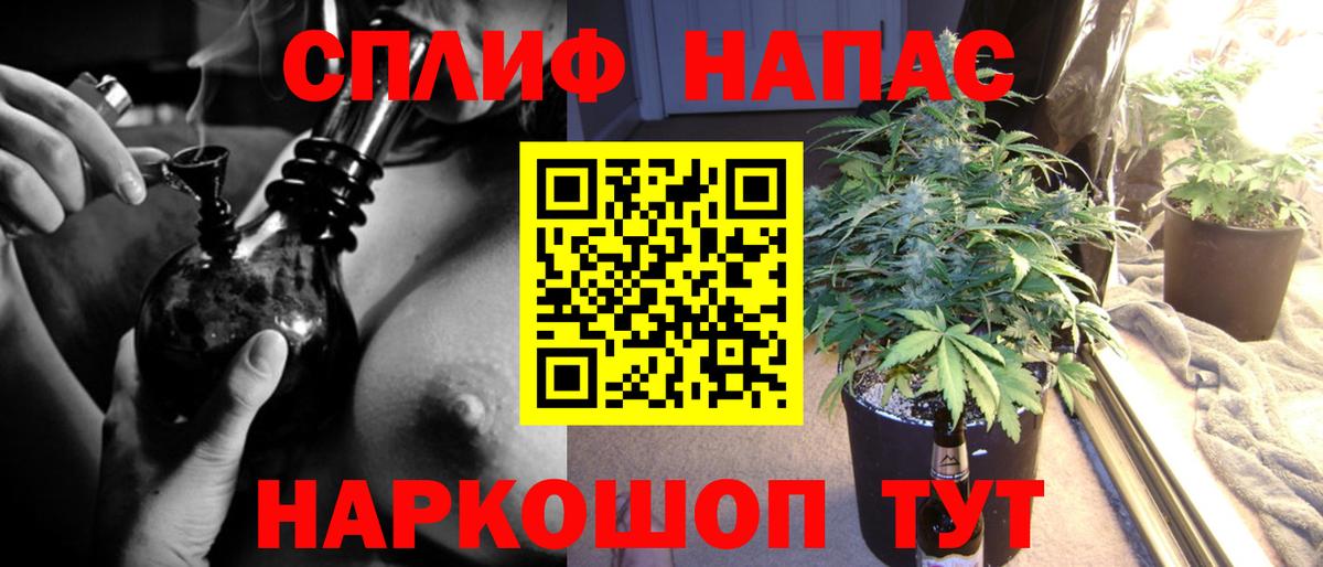Бошки Шишки VHQ  Вход с VPN  Родники  Каннабис Amnesia  Бошки марихуана Amnesia 